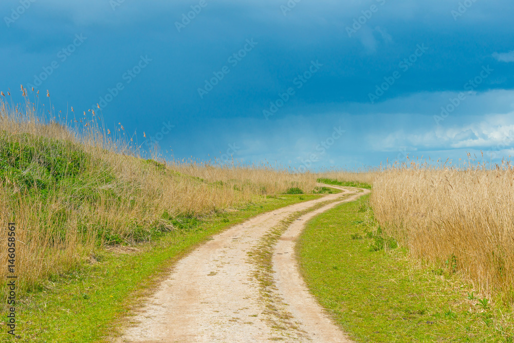 Path through a field below dark clouds in spring in sunlight