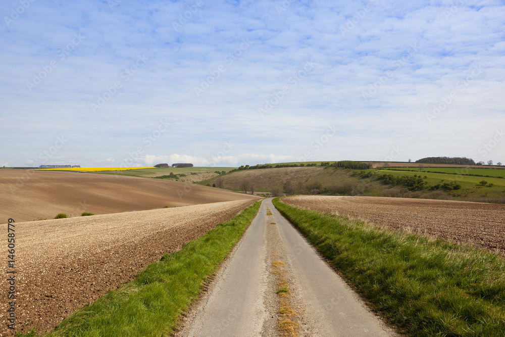 agricultural country road