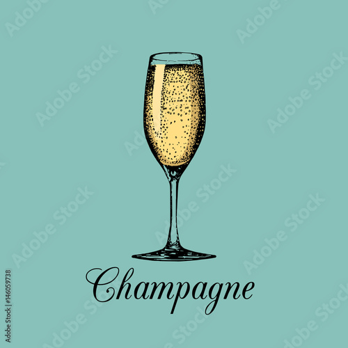 Champagne glass isolated. Vector hand drawn sketch of spumante. Alcoholic drink logo. A white sparkling wine sign.