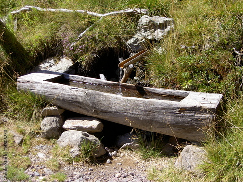 Südtirol, Brunnen, Reinswald, Gebirgsbach, Tränke