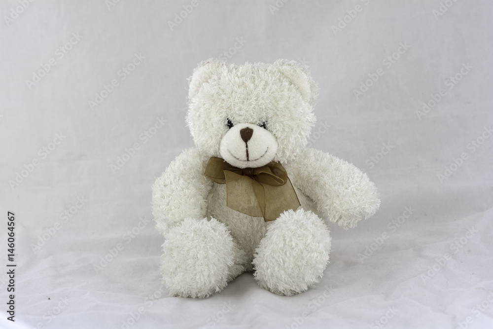 White teddy bear sitting on a white background