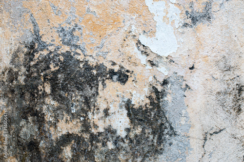 Wallpaper Mural white concrete wall texture Torontodigital.ca