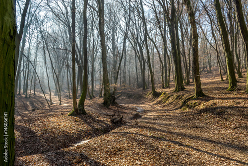 Photography Frozen stream in huge trough in forest in late february (winter) with fog, sun b