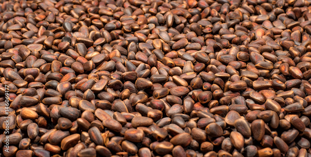 Obraz premium Pine nuts in the form of a background.