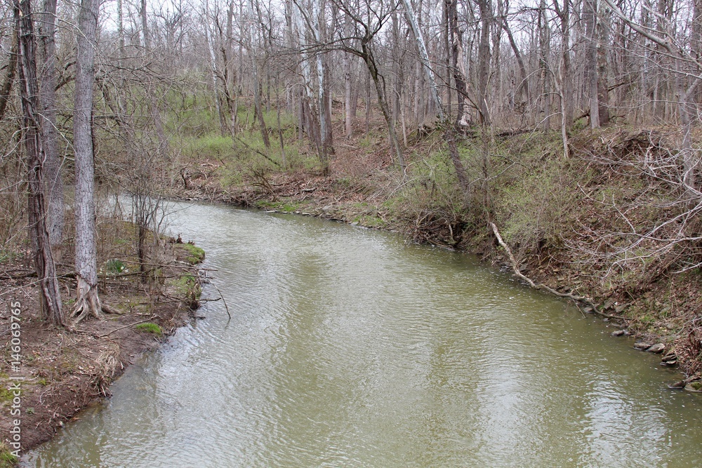 The curve in the flowing creek in the forest. The curve in the flowing creek in the forest.