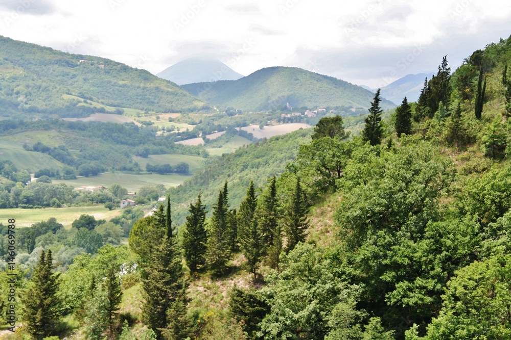 hills landscape with trees in Marche, central Italy