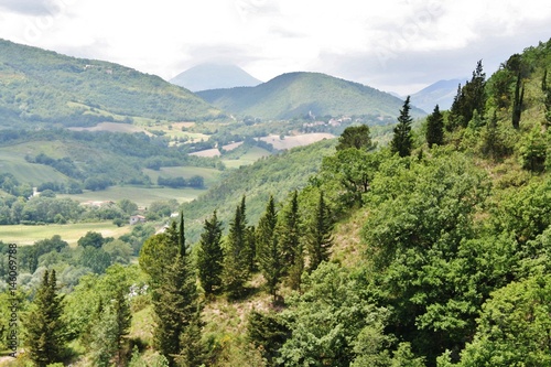 hills landscape with trees in Marche, central Italy