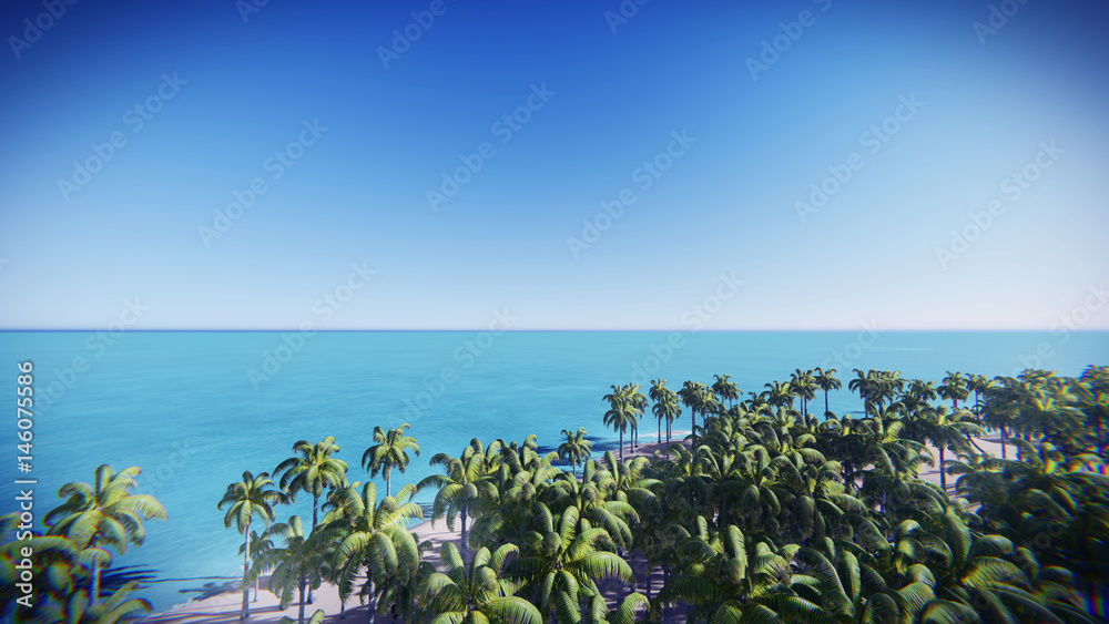 3d render from imagine coconut tree on the beach bird eye view
