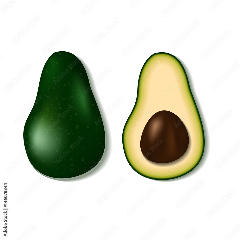 Realistic 3d vector green avocado isolated. Realistic 3d vector green avocado isolated.