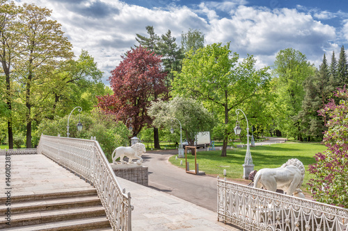 View of the stairs and the spring park on Elagin Island, St. Petersburg, Russia photo