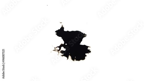 Ink Blot. Ink splashes. Drops. Bleeds. Spot. This video with alpha channel.  Can be used for logo or transition background.