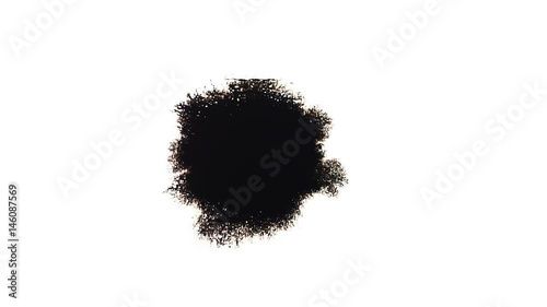 Ink Blot. Ink splashes. Drops. Bleeds. Spot. This video with alpha channel.  Can be used for logo or transition background.