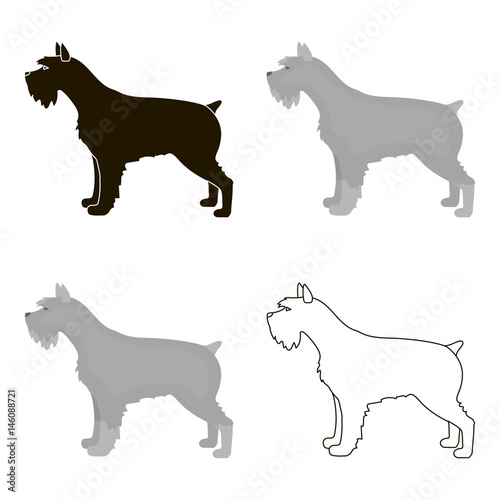 Schnauzer vector icon in cartoon style for web