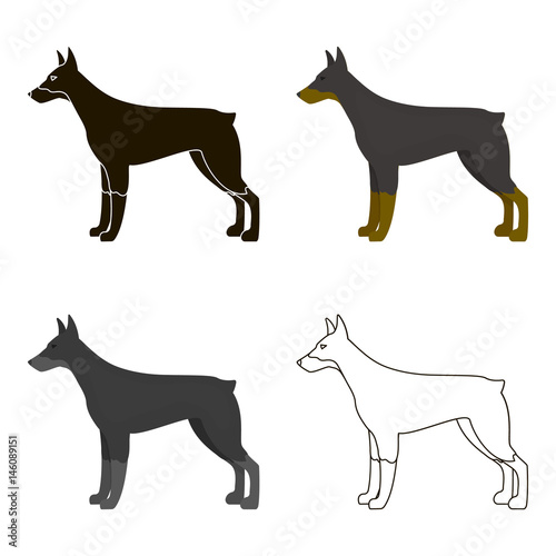 Doberman vector icon in cartoon style for web