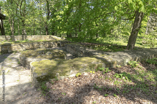 World Heritage ruins of the Disibod monastery on the Disibodenberg, Home of Saint Hildegard of Bingen. photo