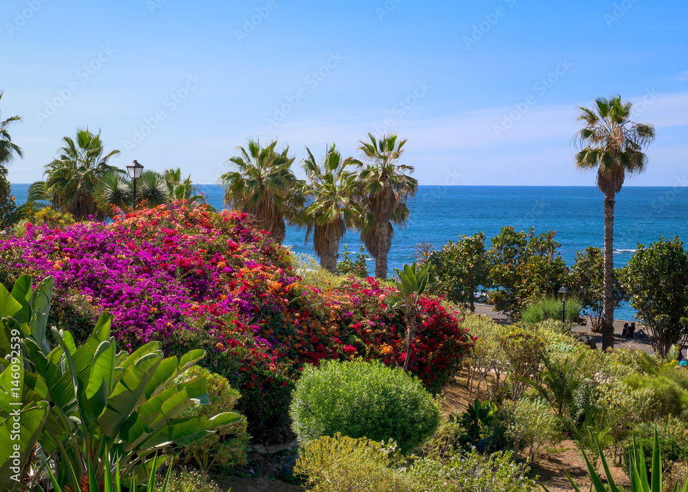 Playa Jardin, Puerto de la Cruz, Teneriffa, Spanien