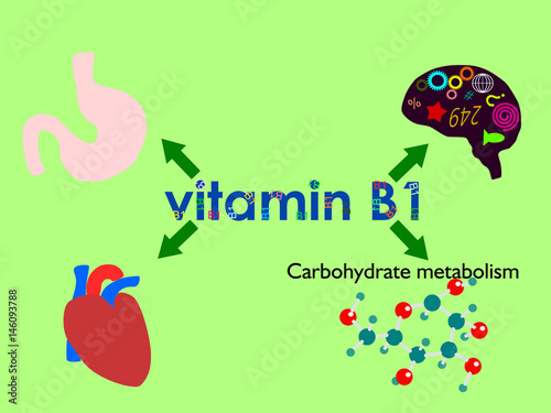 The role of vitamin B1 (thiamine)