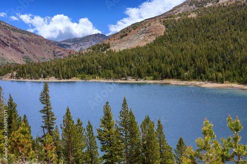 Fototapeta Naklejka Na Ścianę i Meble -  Mountain Lake with Pine Trees