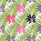 Jungle with pattern green leaves . Greeting card on white background. Cover