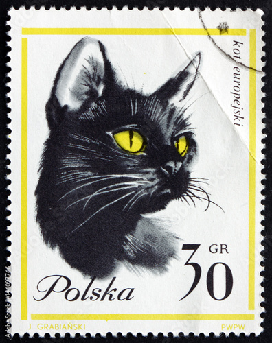 Postage stamp Poland 1964 Domestic Cat