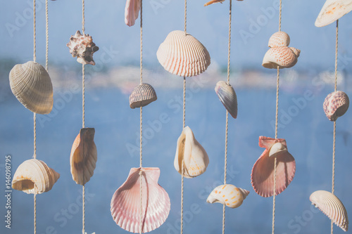 Seashells hanging on strings for decoration