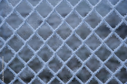 Frozen net