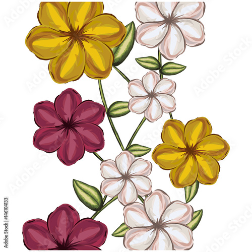 colorful background of malva flowers in colors yellow white and red vector illustration