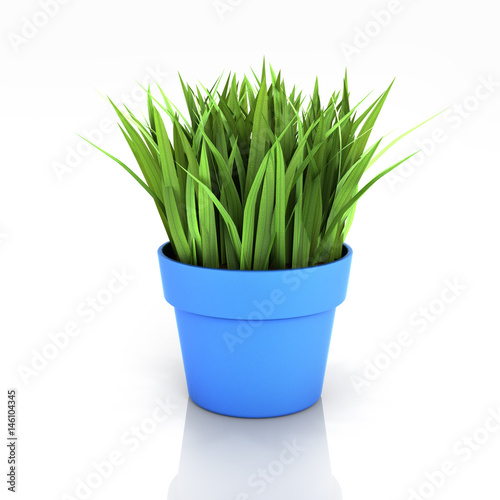 flowerpot with green grass isolated on white bakground with reflection 3d