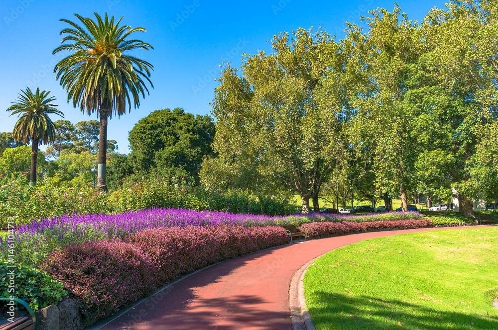 Fototapeta premium Curved path with hedge and green lawn