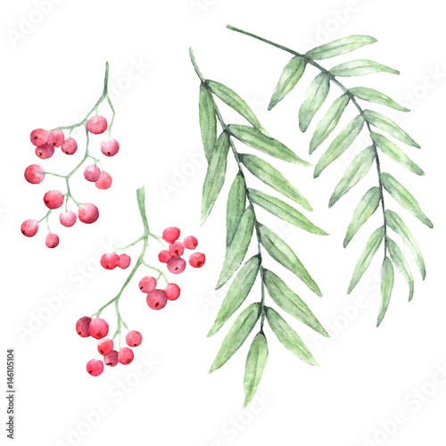 Vector red pepper tree branches hand painted watercolor set