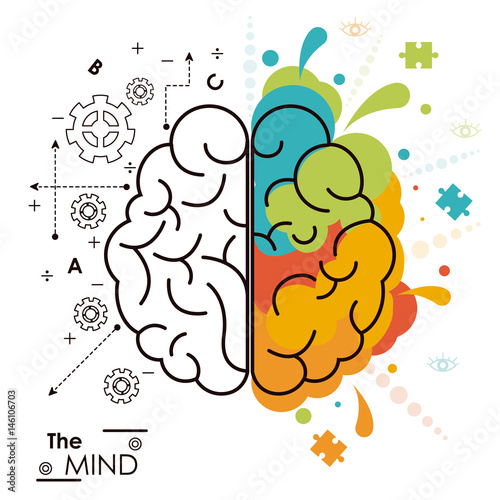 the mind brain human functions left right design vector illustration