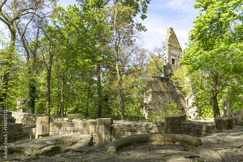 World Heritage ruins of the Disibod monastery on the Disibodenberg, Home of Saint Hildegard of Bingen.