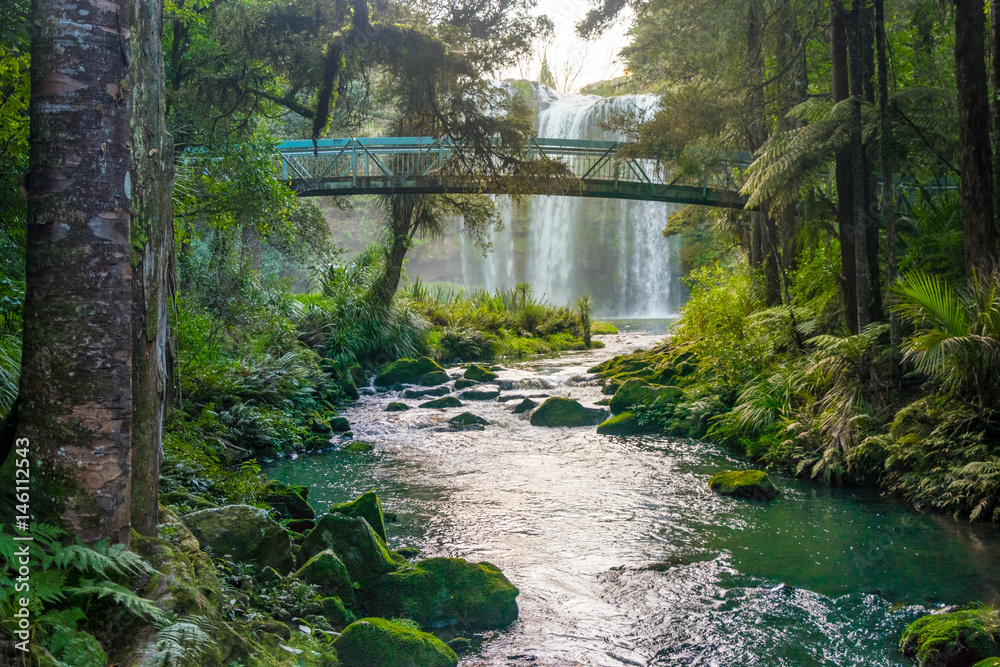 Fototapeta premium Magical Whangarei Falls, New Zealand