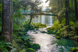 Magical Whangarei Falls, New Zealand