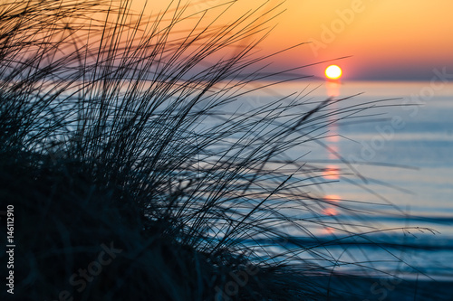 Evening Mood at the Sea   Silhouette tuft beach grass in front of blue sea sunset and orange sky horizon at Darss peninsula  Mecklenburg  Germany