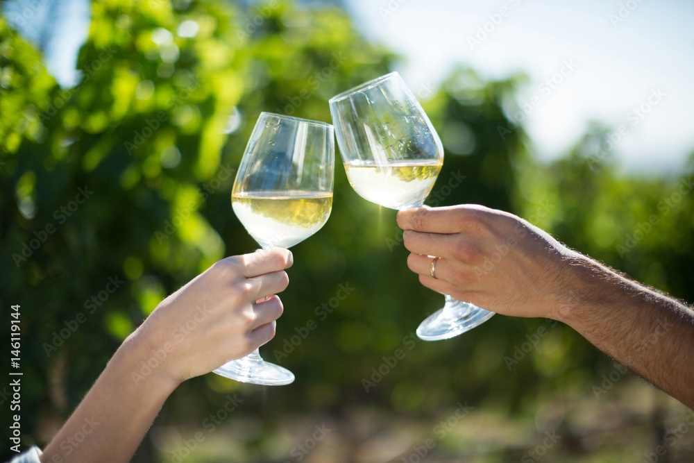 Couple toasting wineglasses at vineyard on sunny day Couple toasting wineglasses at vineyard on sunny day