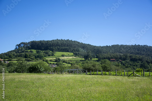 Asturian landscape 77