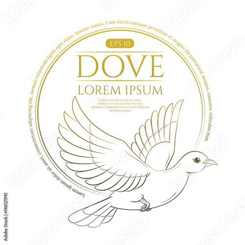 Outline flying dove isolated on white background. Vector illustration with linear drawing. Can be used for design your website or publications and other.