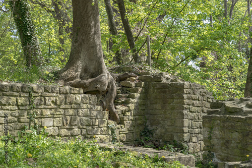 World Heritage ruins of the Disibod monastery on the Disibodenberg, Home of Saint Hildegard of Bingen.