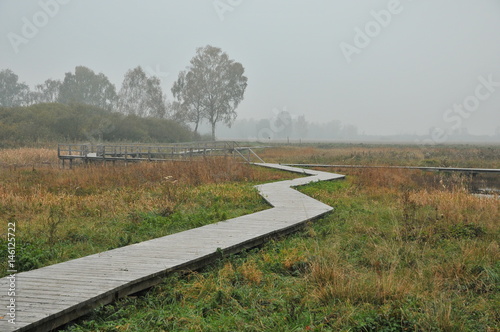 Nebel im Leipheimer Moos mit Steg
