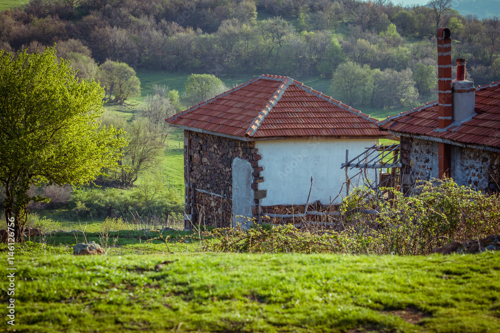 Obraz premium A little house in the midlle of the forest