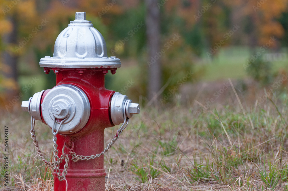Red and Silver Fire Hydrant in Field Red and Silver Fire Hydrant in Field