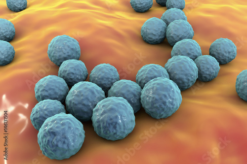 Bacteria Enterococcus, 3D illustration. Gram-positive cocci which cause infant endocarditis and other infections photo