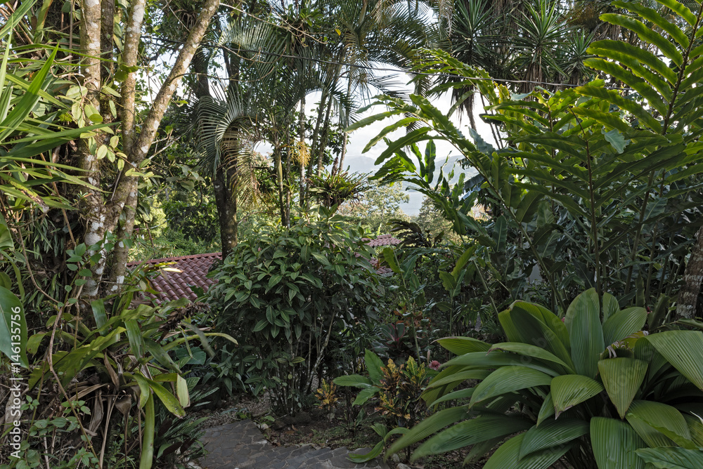 Garden above the Lake Arenal at La Fortuna, Costa Rica