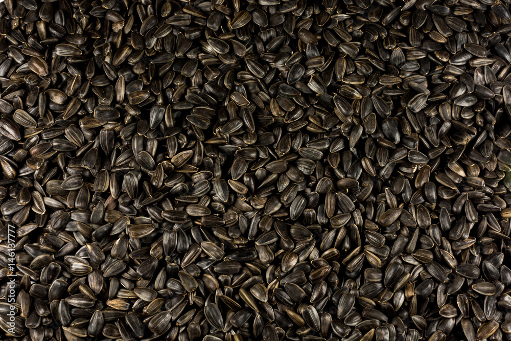 Texture of sunflower seeds Texture of sunflower seeds