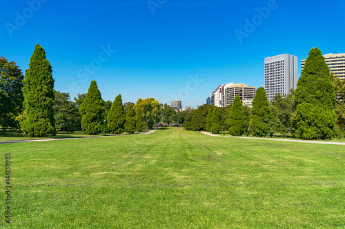 Urban landscape of green grass lawn