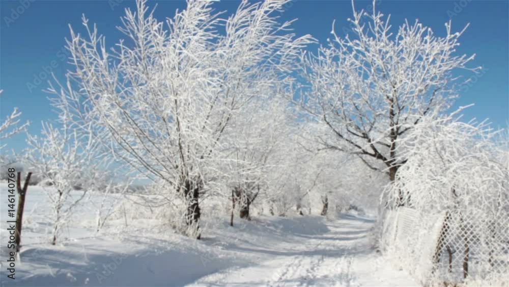 go the village in winter/go beautiful village streets sunny morning in winter go the village in winter/go beautiful village streets sunny morning in winter