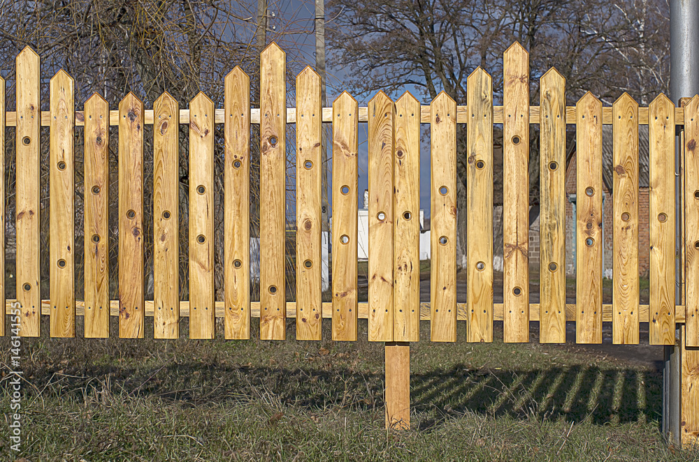 Fototapeta premium palisade
