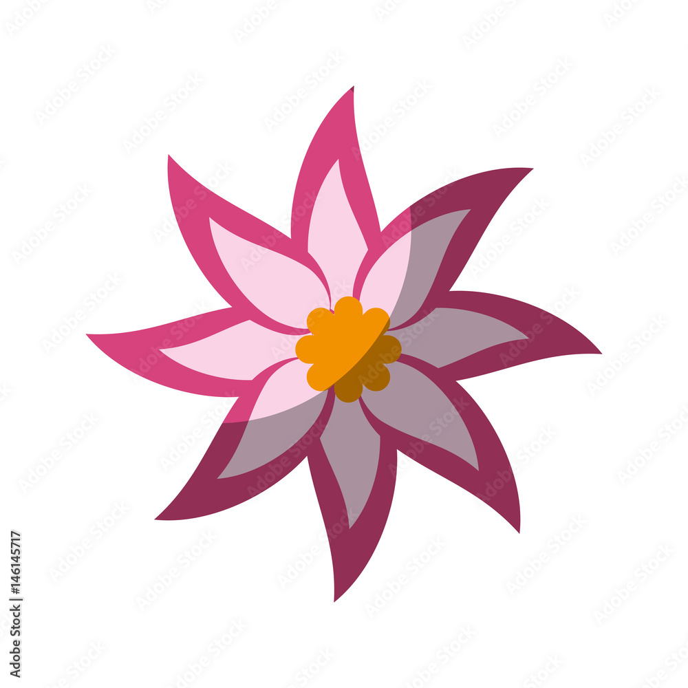 Beautiful flower ornament icon vector illustration graphic design