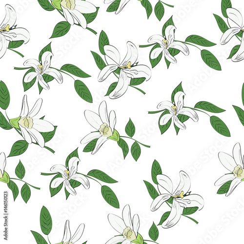 Seamless vector pattern of hand drawn white flowers and leaves. Tropical background.